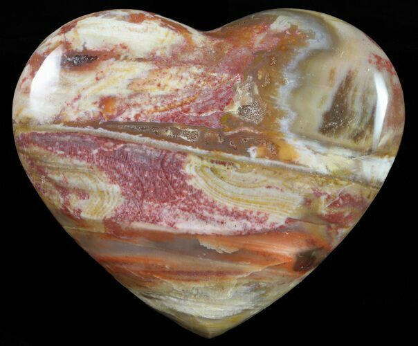 Colorful, Polished Petrified Wood Heart - Triassic #58525